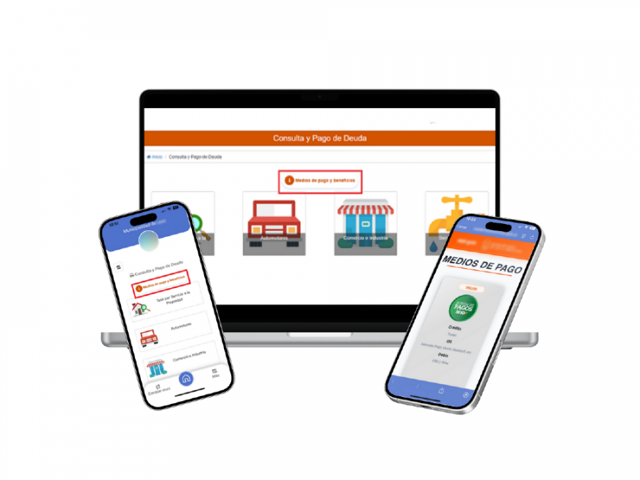 Servicios de Gobierno Electrónico Customizables