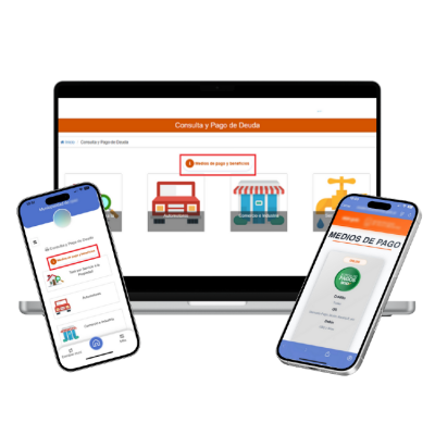 Servicios de Gobierno Electrónico Customizables